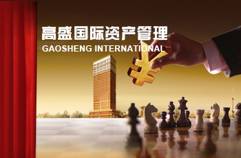 高盛國際資產網(wǎng)站案例