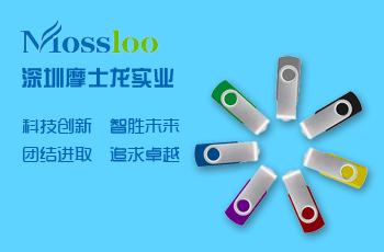 摩士龍實業(yè)網站案例